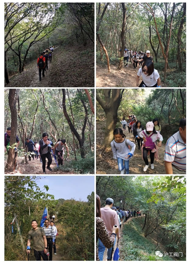 上海滬工閥門廠2019年秋季徒步毅行活動(圖4)