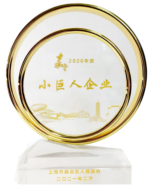 上海滬工閥門廠嘉定區小巨人榮譽獎杯